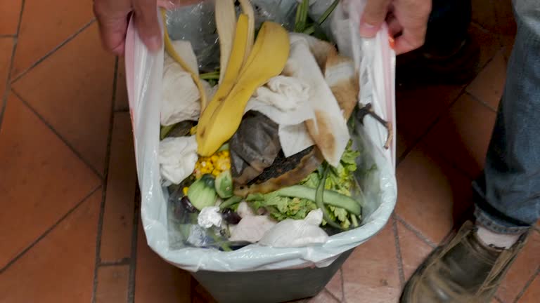 Best Estate Cleanout  in Angier, NC